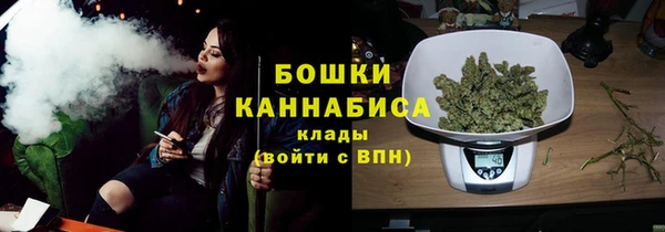 ГАЛЛЮЦИНОГЕННЫЕ ГРИБЫ Покров